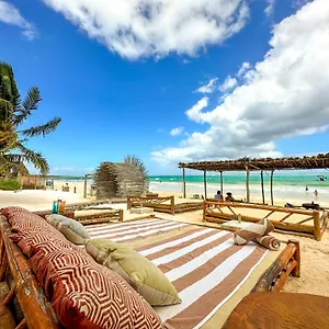 https://la-diosa-tulum-resort-spa.allrivieramayahotels.com